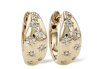 A284-73335: EARRINGS .17 TW