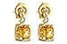 C198-41498: EARR 1.66 CITRINE 1.70 TGW