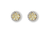 D193-84253: EARR .43 YELL DIA .68 TW