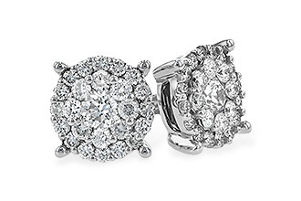 F198-44244: EARR 1.00 TW